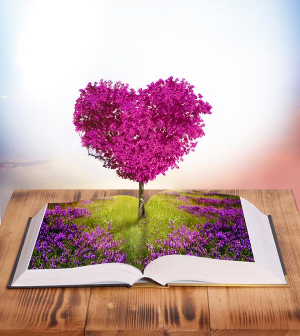 IMG-20190827-WA0001001